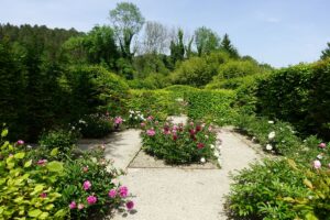 Lire la suite à propos de l’article Le jardin du moulin de Thonnance, paradis des pivoines