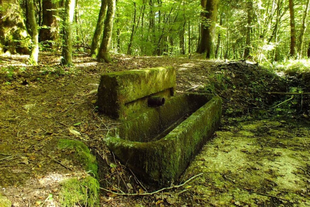 fontaine miraculeuse aux deux noeuds de l'ermitage de saint rouin à beaulieu en Argonne