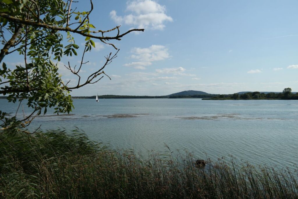 Lac de la Madine