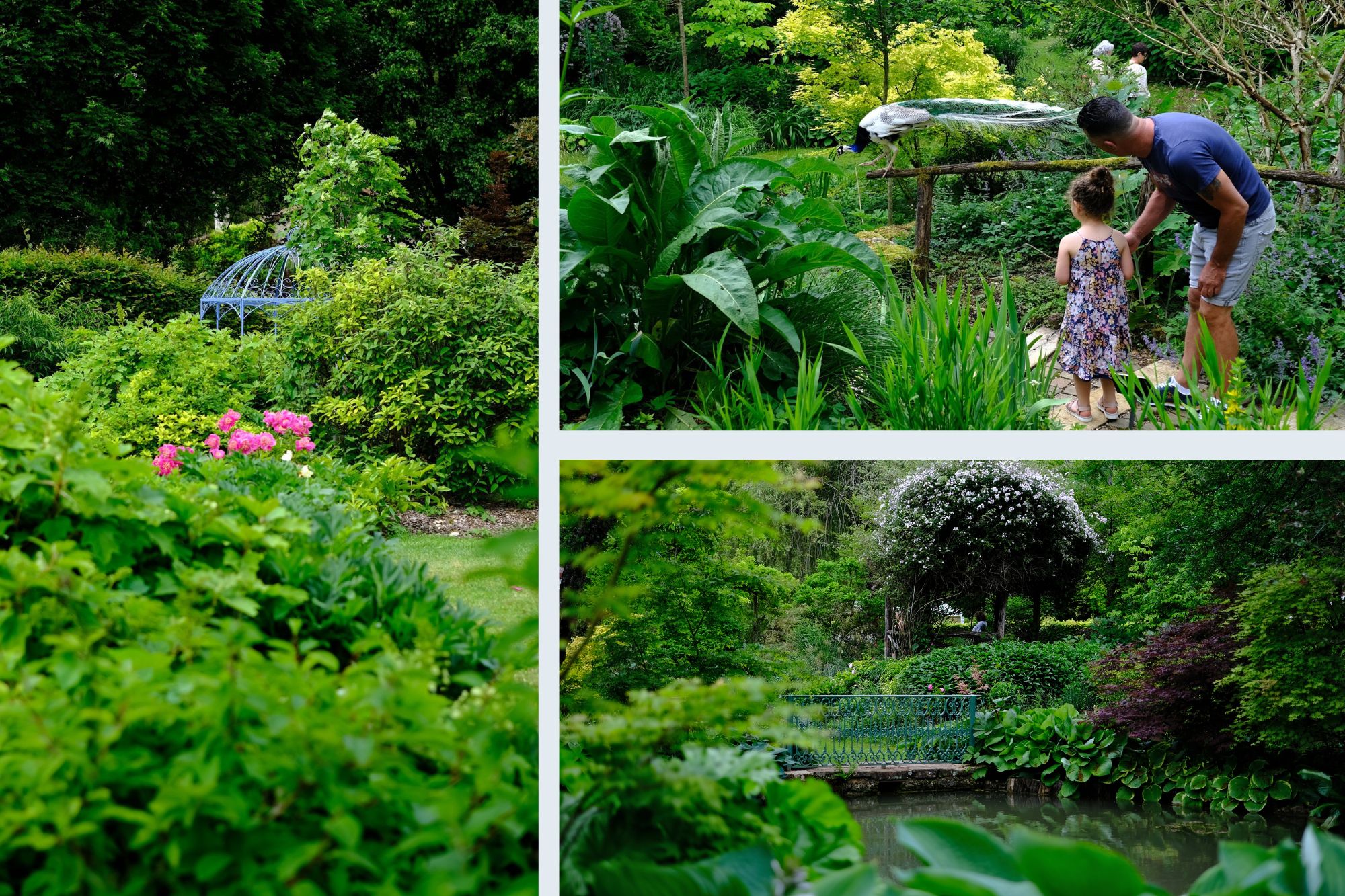 Le jardin du Moulin à Thonnance les Joinville