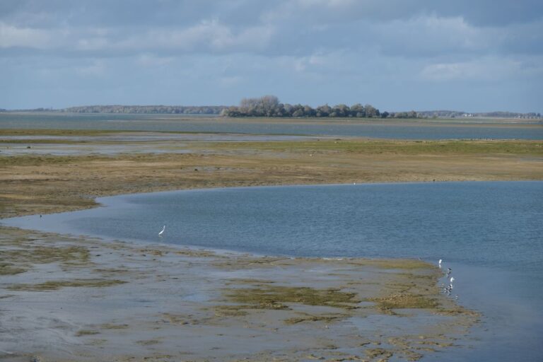 Lire la suite à propos de l’article Les 10 balades à faire au lac du Der