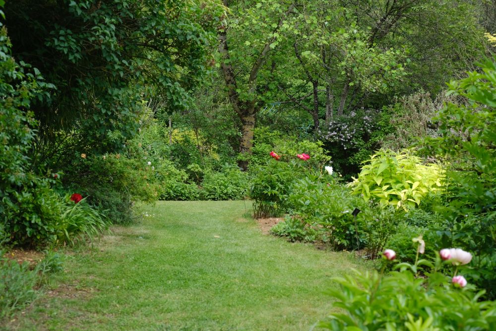 Jardin du Moulin de Thonnance les Joinville