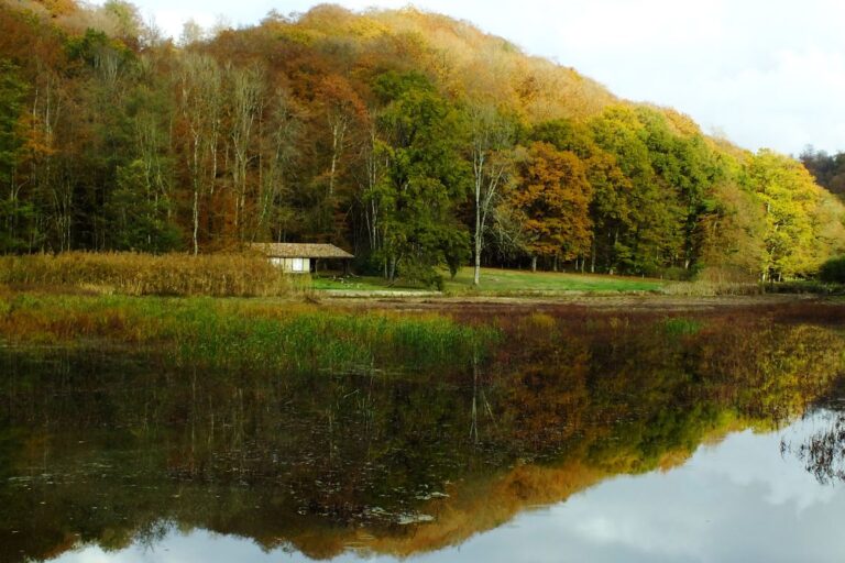L'étang du Moulin à Beaulieu en Argonne