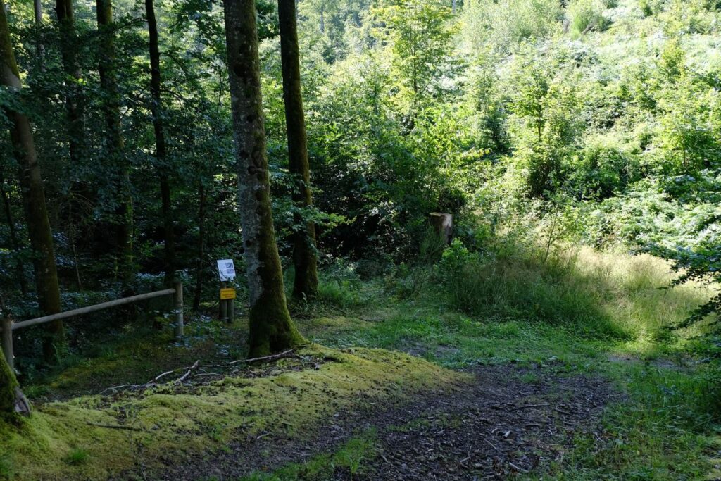 La source du ravin du génie