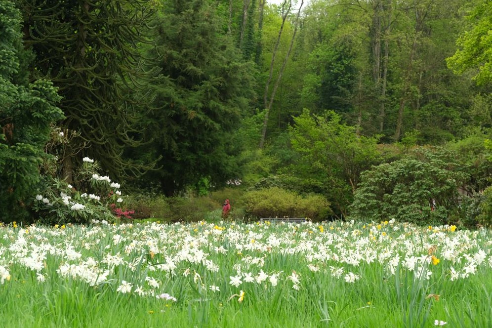 Diversité végétale du jardin botanique Jean Marie Pelt