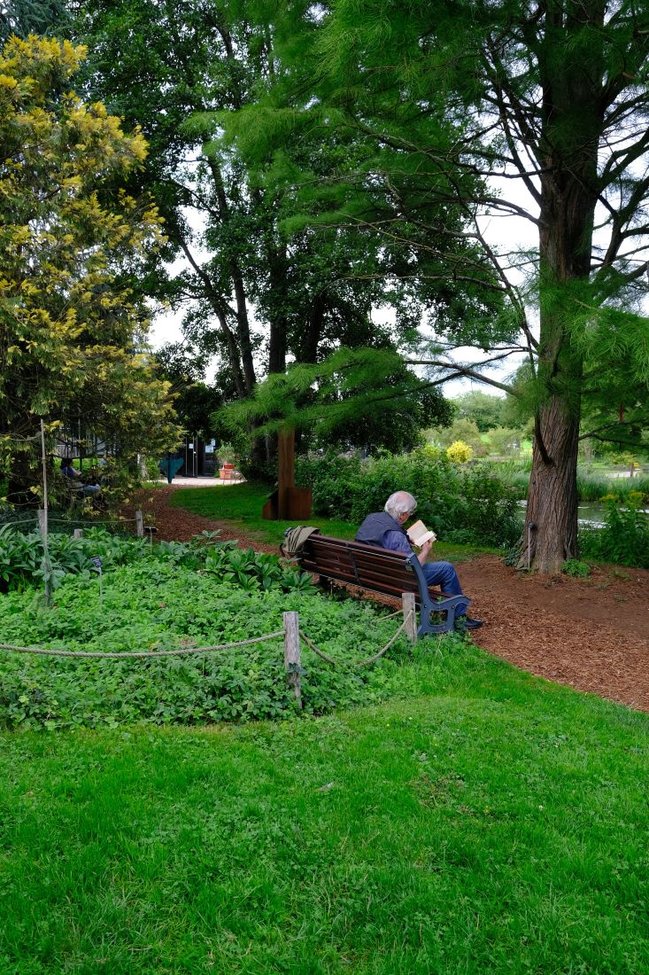 Lecture à l'ombre des allées du jardin botanique Jean Marie Pelt