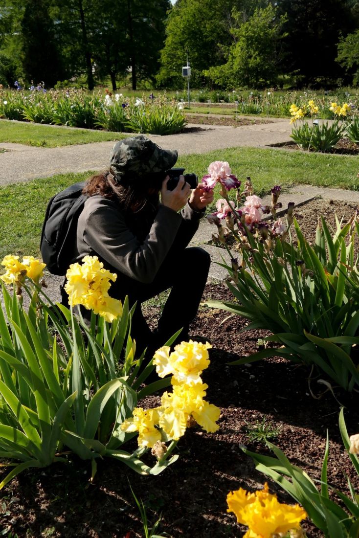 Concours de bokeh au jardin botanique Jean Marie Pelt