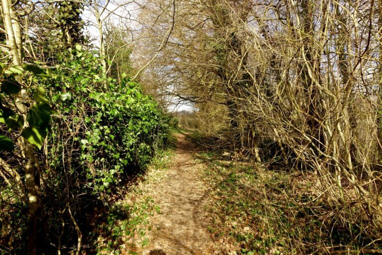 Randonnée boucle de l'abbaye de Beaulieu en Argonne