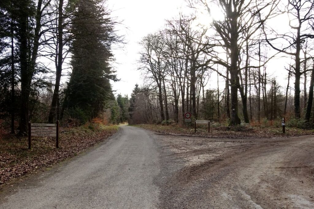 Boucle de l'abbaye de Beaulieu en Argonne bifurcation vers Saint Rouin