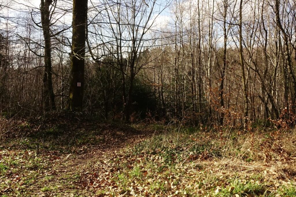 Boucle de l'abbaye de Beaulieu en Argonne