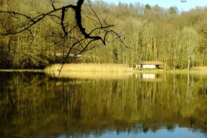 Lire la suite à propos de l’article Randonnée : boucle de l&rsquo;abbaye à Beaulieu en Argonne