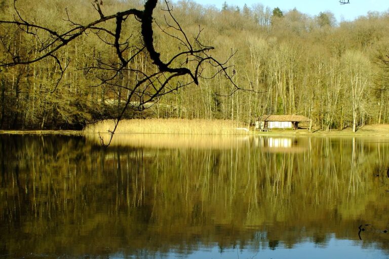 Randonnée : boucle de l&rsquo;abbaye à Beaulieu en Argonne