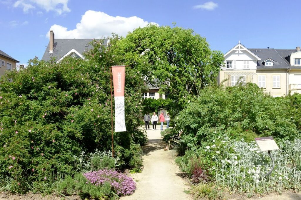 Roseraie du jardin botanique de Metz