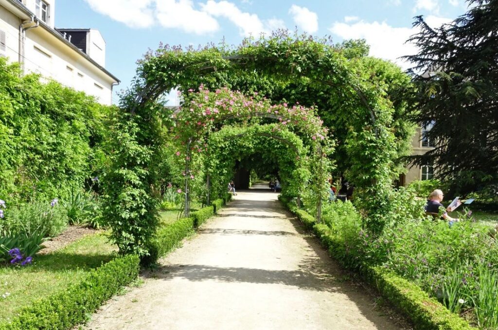 La superbe tonnelle de la roseraie du jardin botanique de Metz